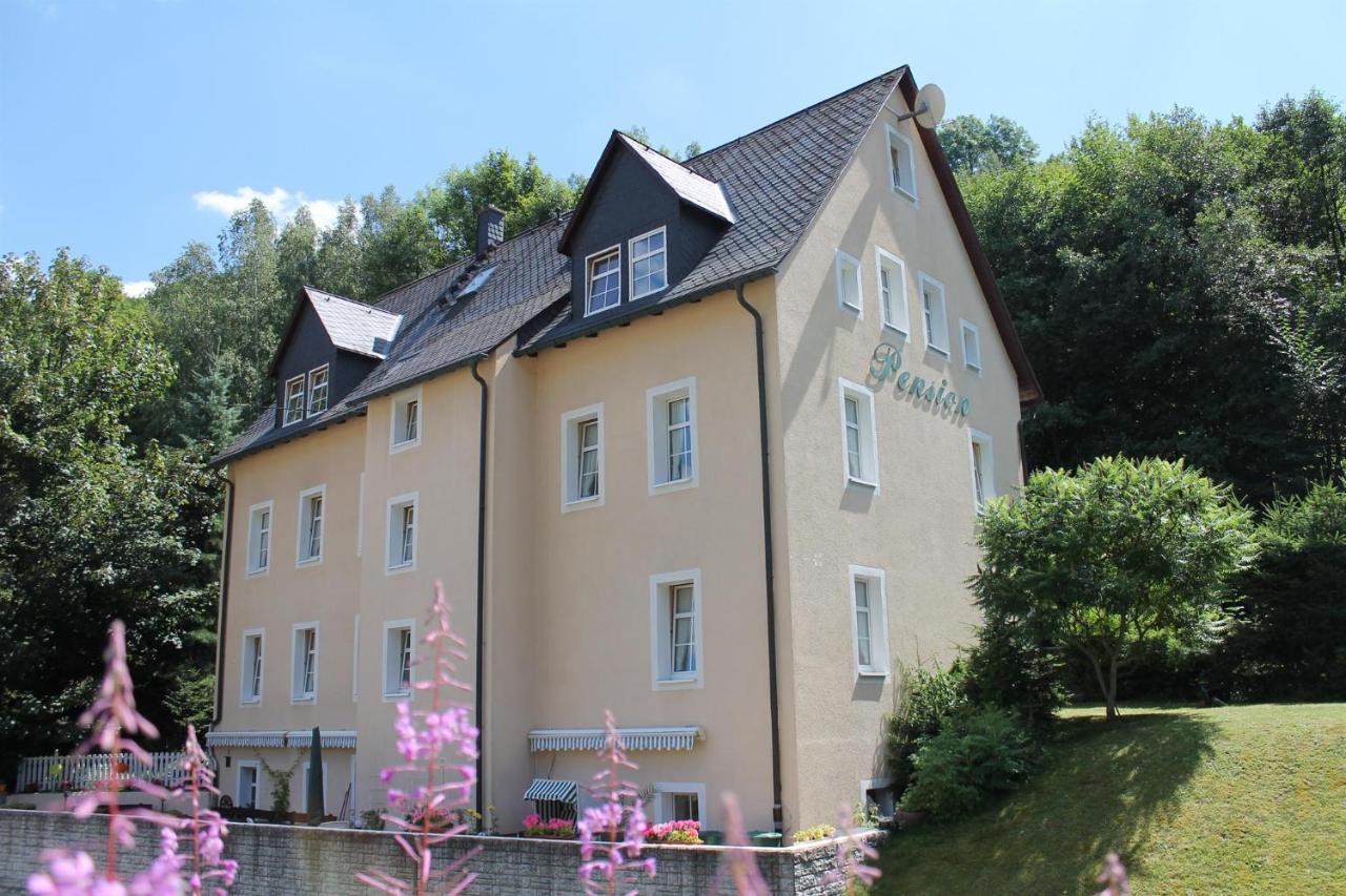 Appartements Im "Landhaus Am Frohnauer Hammer" Annaberg-Buchholz Luaran gambar