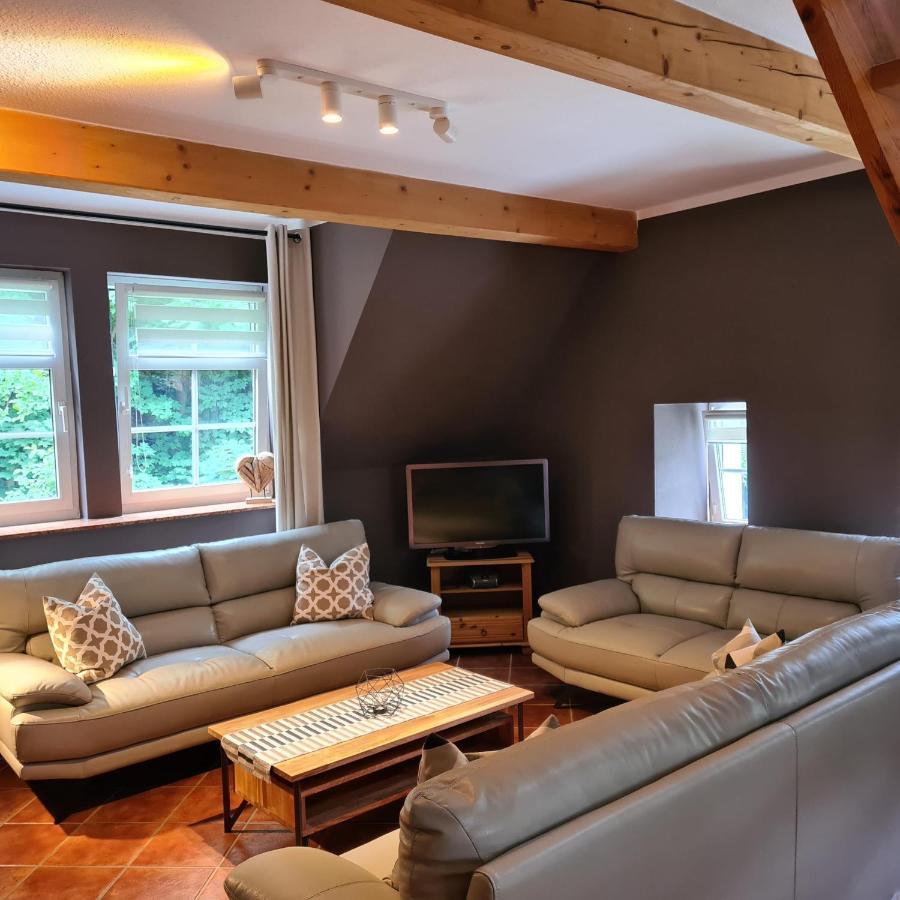 Appartements Im "Landhaus Am Frohnauer Hammer" Annaberg-Buchholz Luaran gambar
